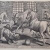 [Antieke prent, gravure, 1568] Gevecht tussen leeuw, stier en honden [set titel: Venationes Ferarum, Avium, Piscium], gepubliceerd 1568 of later.