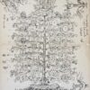 [Heraldic drawing] CALKOEN Ontwerp voor een geslachtslijst in boomvorm van de familie Calkoen. Onderaan `Bureau Int. d'Etude généalogique et héraldique La Haye', begin 20ste eeuw. Wrs. tekening door J.C.P.W.A. Steenkamp, 55x45 cm.