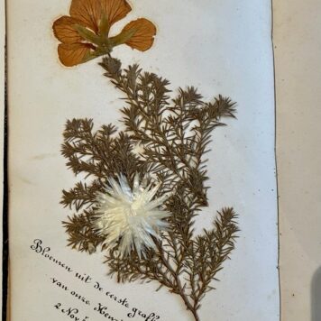 Botanical album Regina Tisfot 1896