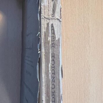 Dl. 1, Willem Frederik, Prins van Nassau en Johan de Witt