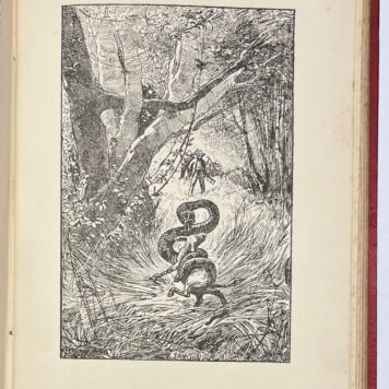 Literature, 1895, Children's Books | De Hollandsche Robinson Crusoë. Amsterdam, Van Holkema en Warendorf, 1895, tweede druk, 209+(2) pp.
