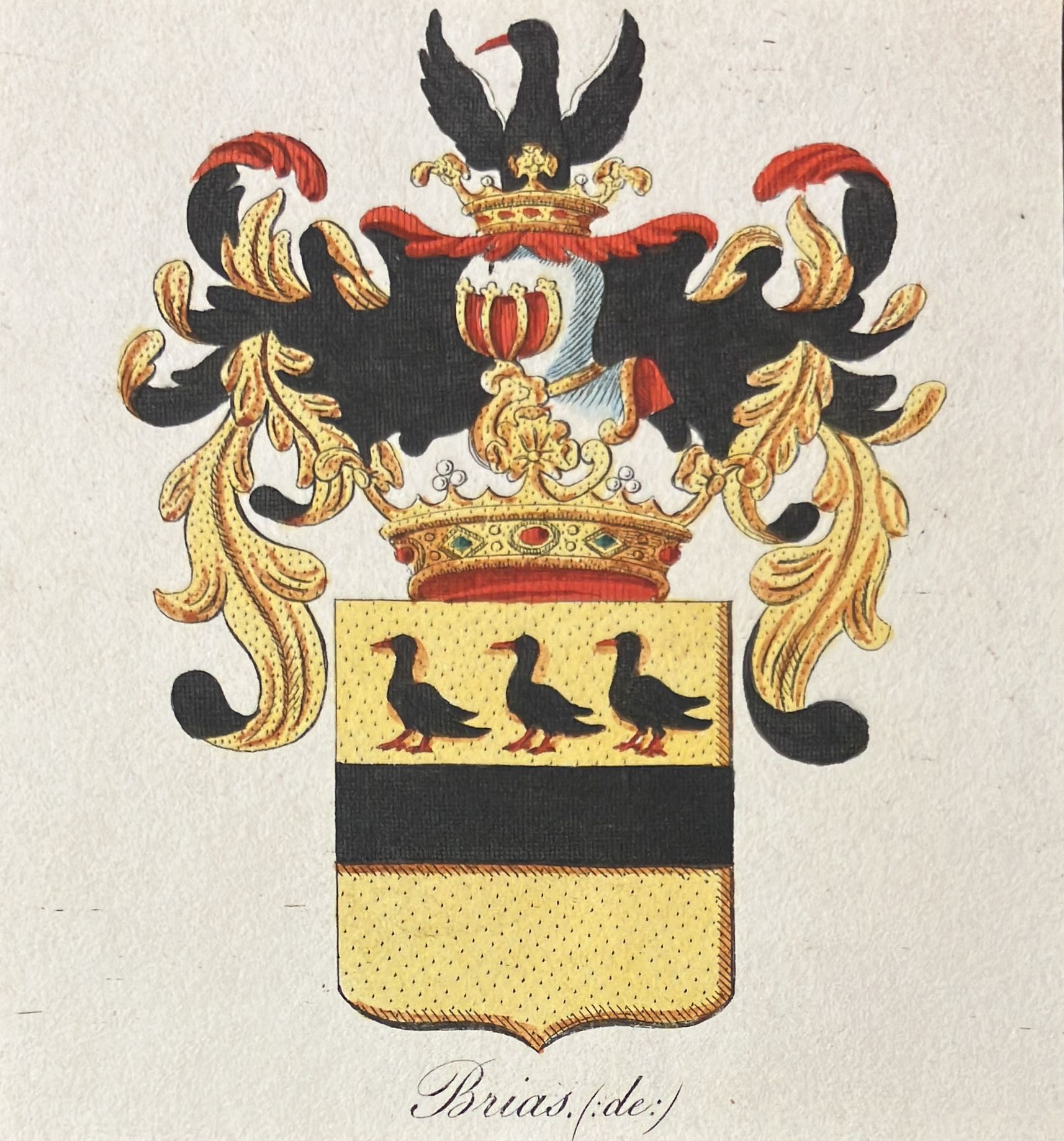  - [Heraldic coat of arms] Coloured coat of arms of the de Brias family, family crest, 1 p.