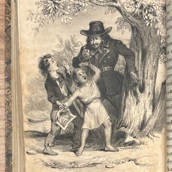 School book, [1844-56], Children's Literature | De Voorzienigheid Waakt! Twee Verhalen voor de Jeugd. Met Plaatjes. Naar het Hoogduitsch. Amsterdam, J. D. Sijbrandi, [1844-56], 102+40 pp.