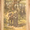School Book, [1890], Children's Literature | Zwarte Daan. Een verhaal uit den tijd der vervolging, door J. Keuning. Nijkerk, G. F. Callenbach, [1890], 16 pp.