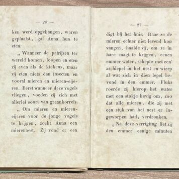 School Book, 1851, Children's Literature | Het Patrijzen Nestje en drie andere verhaaltjes, door C. G., Middelburg, De Gebroeders Abrahams, 1851, 144 pp.
