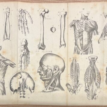 Education, 1873, Gymnastics | Ontleedkundig en physiologisch handboek voor aankomende onderwijzers in de gymnastiek, (...) met platen. Tweede verbeterde en vermeerderde druk. Amsterdam, C.L. Brinkman, 1873, 206 pp. With 6 foldable plates.