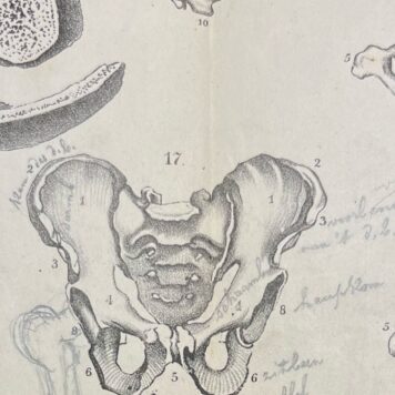 Education, 1873, Gymnastics | Ontleedkundig en physiologisch handboek voor aankomende onderwijzers in de gymnastiek, (...) met platen. Tweede verbeterde en vermeerderde druk. Amsterdam, C.L. Brinkman, 1873, 206 pp. With 6 foldable plates.