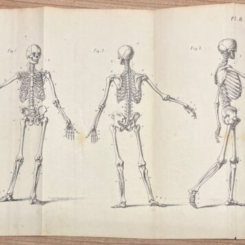 Education, 1873, Gymnastics | Ontleedkundig en physiologisch handboek voor aankomende onderwijzers in de gymnastiek, (...) met platen. Tweede verbeterde en vermeerderde druk. Amsterdam, C.L. Brinkman, 1873, 206 pp. With 6 foldable plates.