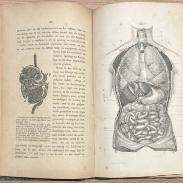 Education, 1873, Gymnastics | Ontleedkundig en physiologisch handboek voor aankomende onderwijzers in de gymnastiek, (...) met platen. Tweede verbeterde en vermeerderde druk. Amsterdam, C.L. Brinkman, 1873, 206 pp. With 6 foldable plates.