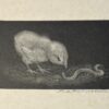 Small reproduction print of etching of Ina Rahusen (1895-1977) eendje met worm
