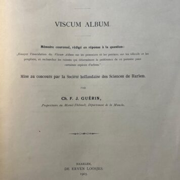 Germination et implantation du gui. Viscum album par Ch. F. J. Guérin,