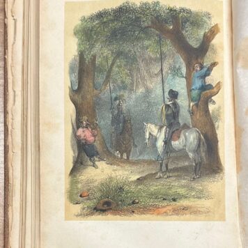 Prize book, [1863], Literature | Lotgevallen van den ridder Don Quichot en zijn schildknaap Sancho Pansa; voor de jeugd bewerkt door G. Engelberts Gerrits. Tweede druk. Deventer, A. ter Gunne, [1863], 224 pp.