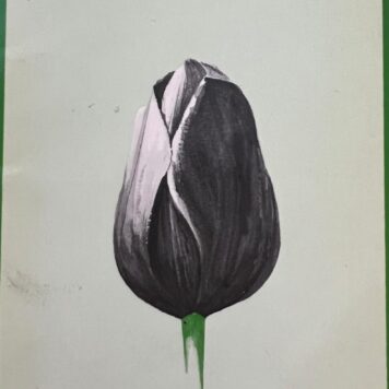 Marianne Weide De zwarte tulp