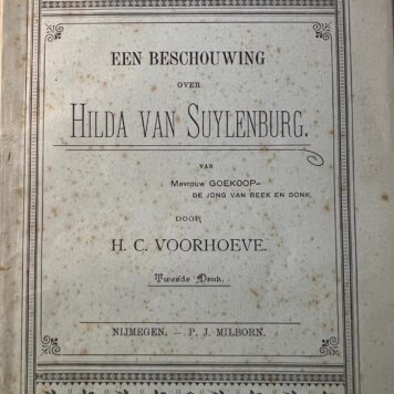 Een beschouwing over Hilda van Suylenburg van Mevrouw Goedkoop-De Jong van Beek en Donk