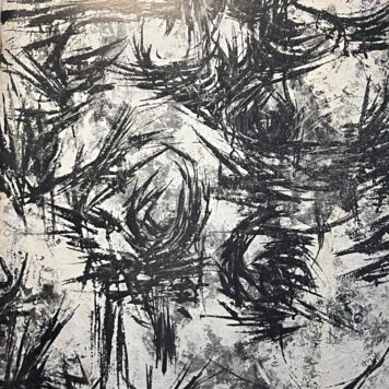 Facetten der hedendaagse kunst Vishal Haarlem