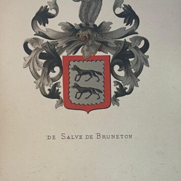 familiewapen De Salve de Bruneton