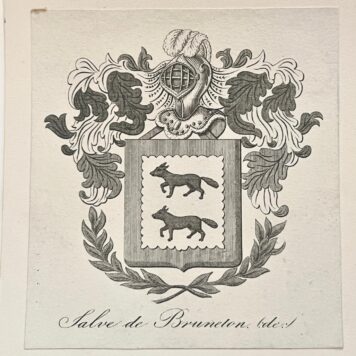 familiewapen De Salve de Bruneton