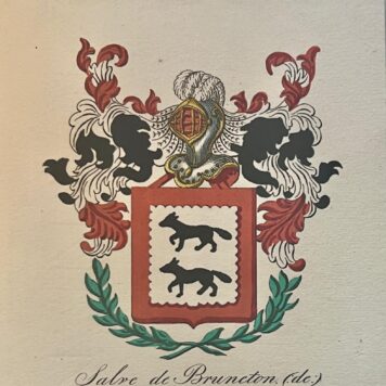 familiewapen De Salve de Bruneton