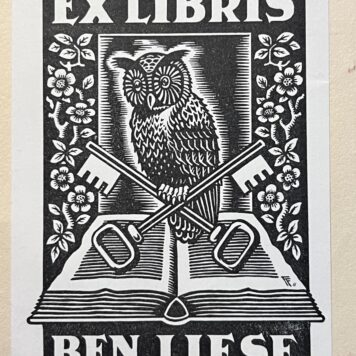 Een hollander in Sovjet-Rusland 1935