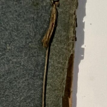 Eene schoone historie van de goede vrouwe Griseldis Petrarca