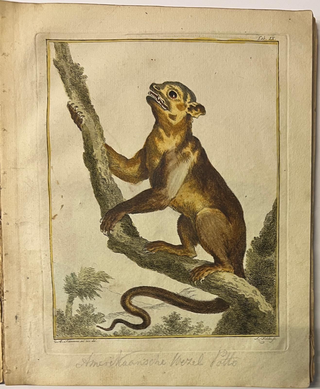 WhatsApp Image 2025-10-22 at 15.06.36 (9)