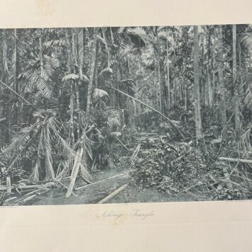 Kleingrothe Sumatra's O.K. Medan photography 1915 Indonesie Indonesia
