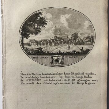 Het dorp Ouddorp made by Anna Catharina Brouwer