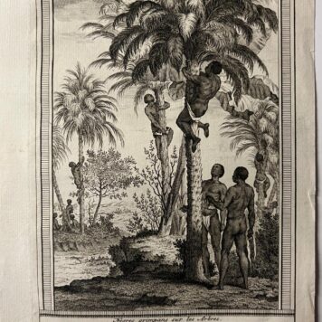 Negers op de Palmboomen klimmende ca 1779