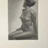 Das Deutsche Aktwerk Bruno Schultz Verlag Germany 1940 Willy Zielke