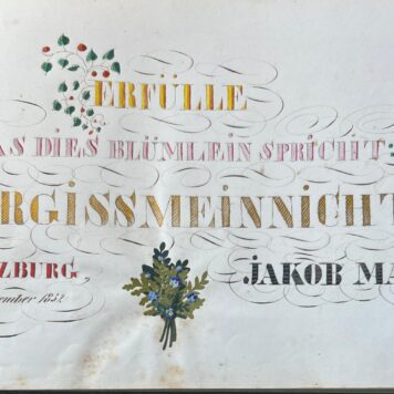Album from Jakob Mäyer Judaica ca 1852