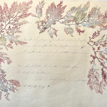 Album from Lina Frankfurt 1851-1895 Dried flowers drawings poems