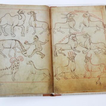 Reiner Musterbuch. Faksimile Ausgabe (.....) des Musterbuch aus Codex Vindobonersis 507, Graz, 1979.