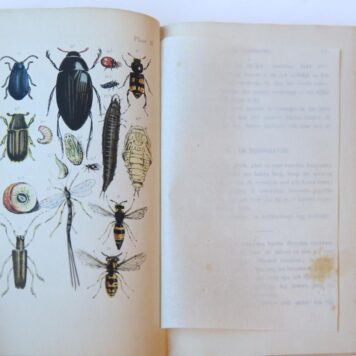 De insektenwereld, naar J.C.L. Neukirch voor de Nederlandsche jeugd bewerkt door M.J. van Nieuwkuyk, Leiden, Noothoven van Goor.
