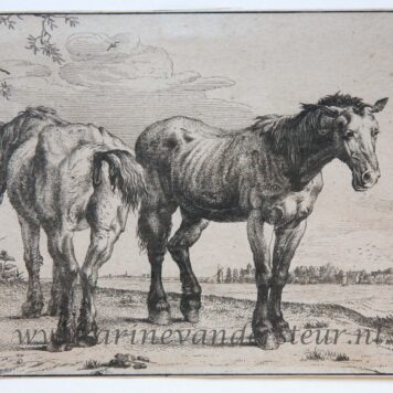 [Antique print, etching] T. Lundh (?) after P. Potter, The Plough Horses, 1896, 1 p.