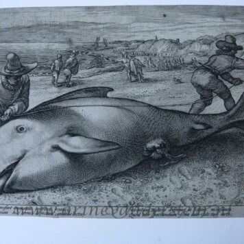 [Antique print, engraving, ca. 1594] The stranded whale at the shore of Zandvoort (gestrande walvis door Goltzius), 21st November 1584, published ca. 1594, 1 p.