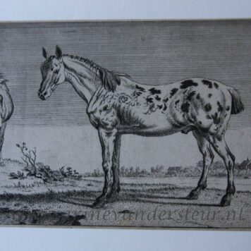 [Antique print, etching] The Courtaud Horses (paard met kort gesneden oren en staart), published ca. 1800.