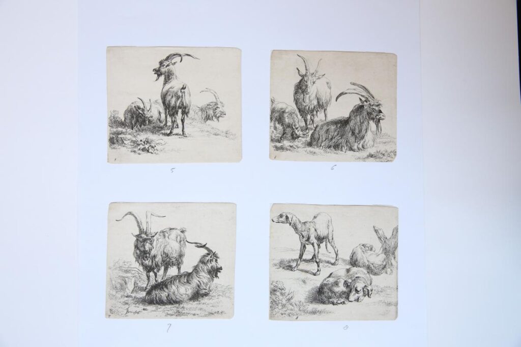 [Original etchings by Berchem 1648-1652] The set of various animals, the "Man's book" (complete set).