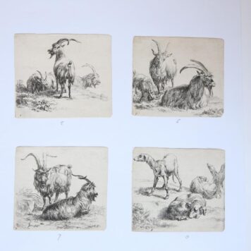 [Original etchings by Berchem 1648-1652] The set of various animals, the 