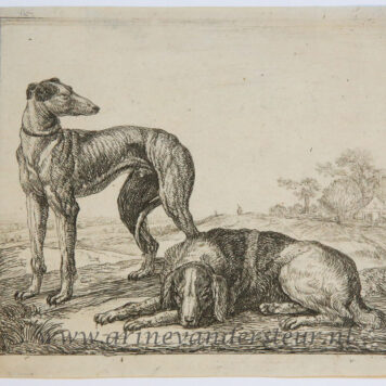 [Antique print, etching] Greyhound and lying hound/Windhond en andere liggende hond, published ca. 1600-1650.