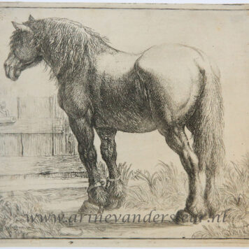 [Antique print, etching] Draught-horse next to a fence/Trekpaard naast een hek, 1600-1650.