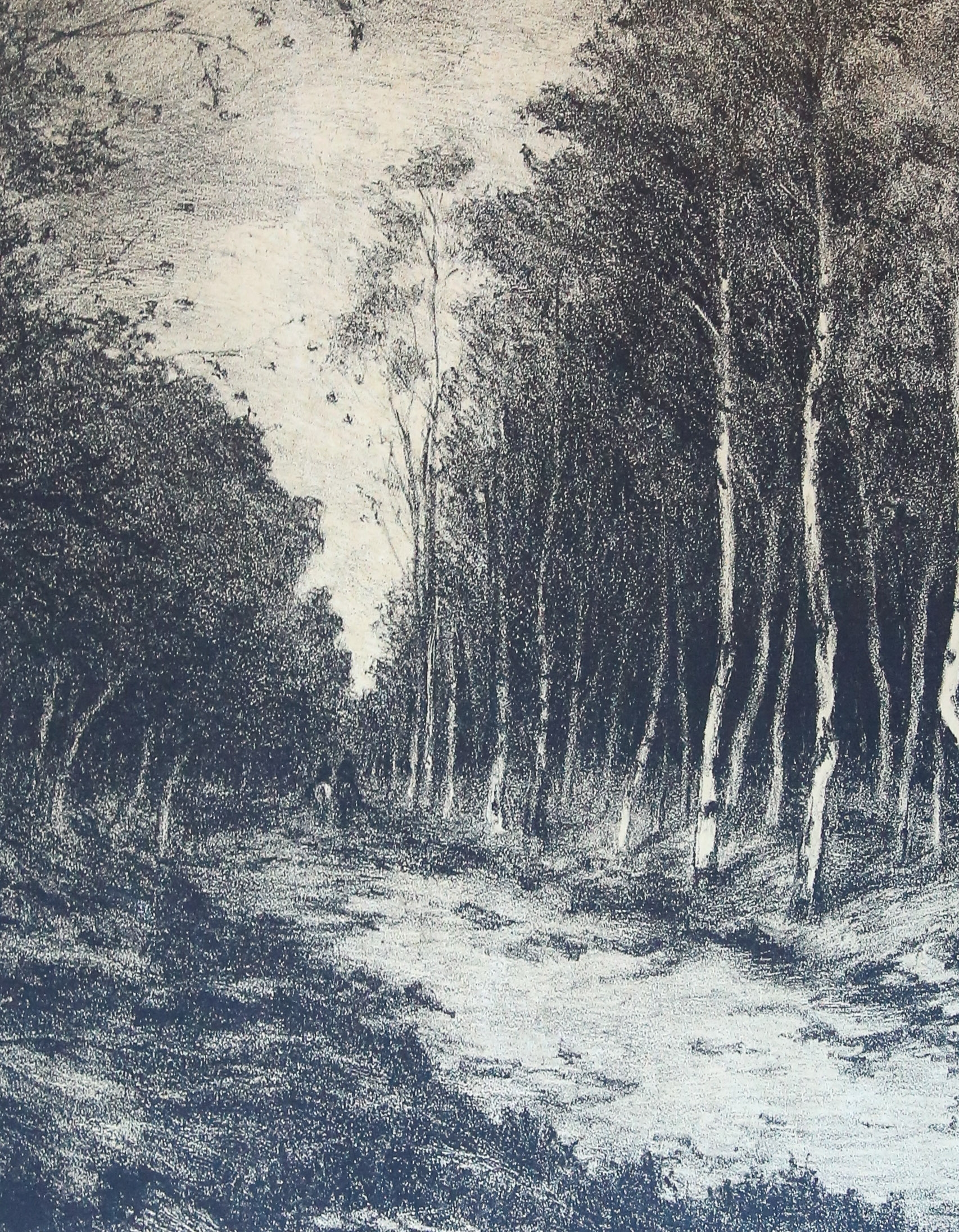 Hoet, ten Gerarda Wilhelmina (1857-1939) - Forest trail.