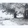 Etching/ets: Aan de Oostzee/On the Baltic Sea.