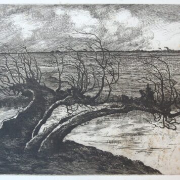 Ets/etching: Hanging tree by river/hangende boom bij rivier.