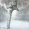 Ets/Etching: Weeping willow/Buigende boom.