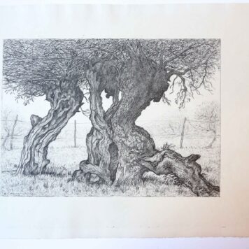 [Modern print, lithography] Trees in the meadow/Bomen in een weide, published ca. 1950.