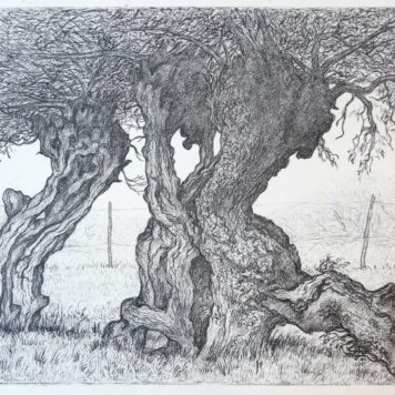 [Modern print, lithography] Trees in the meadow/Bomen in een weide, published ca. 1950.
