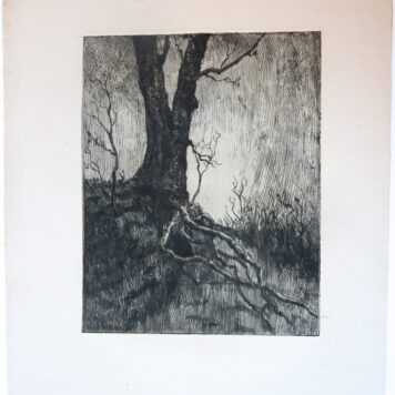 Etching/ets: fallen tree by river/Gevallen boom bij rivier.