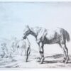 Standing horse tied to a pole [set of 12 horses] (staand paard vastgebonden aan paal).