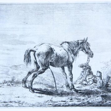 Pissing horse [set of 12 horses] (Plassend paard).