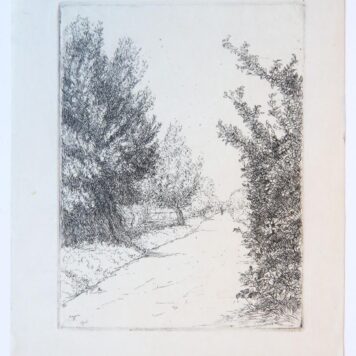 [Modern print, etching] View on path among trees (pad tussen bomen), published 1911.